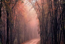 贝宁政变：军人夺权引发国家动荡