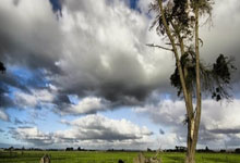 南京大屠杀：惨绝人寰的人间悲剧