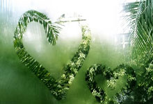 绿营政客操弄小学唱校歌：国台办严正批驳